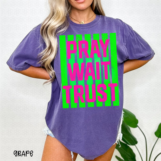 Pray Wait Trust Completed Tee